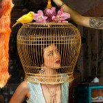 Mei Xian Qiu - The Birdcage, 2012 - http://meixianqiu.com/press/