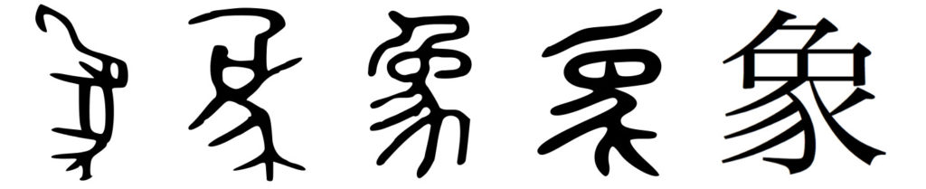 Evolución desde la dinastía Shang del caracter 象 xiang: "elefante, marfil, imagen, signo, figura, símbolo, apariencia, imitación, traducción"